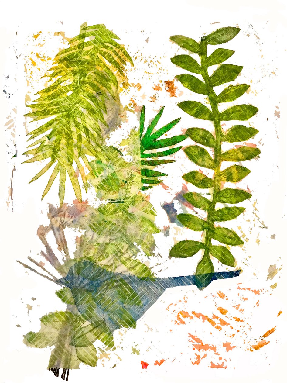 Jungla Botánica de Unbekannt Unbekannt