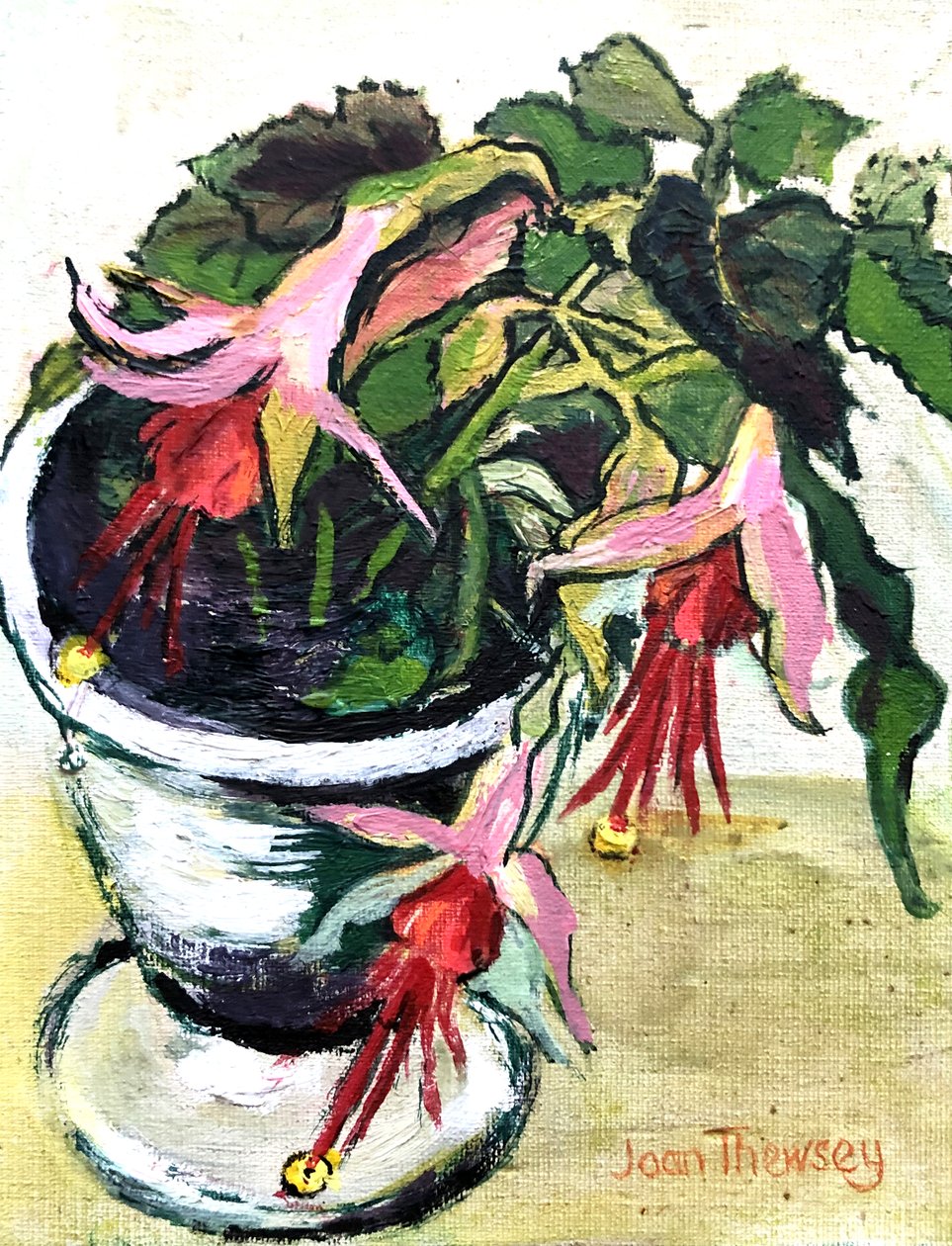 Fucsias de Unbekannt Unbekannt