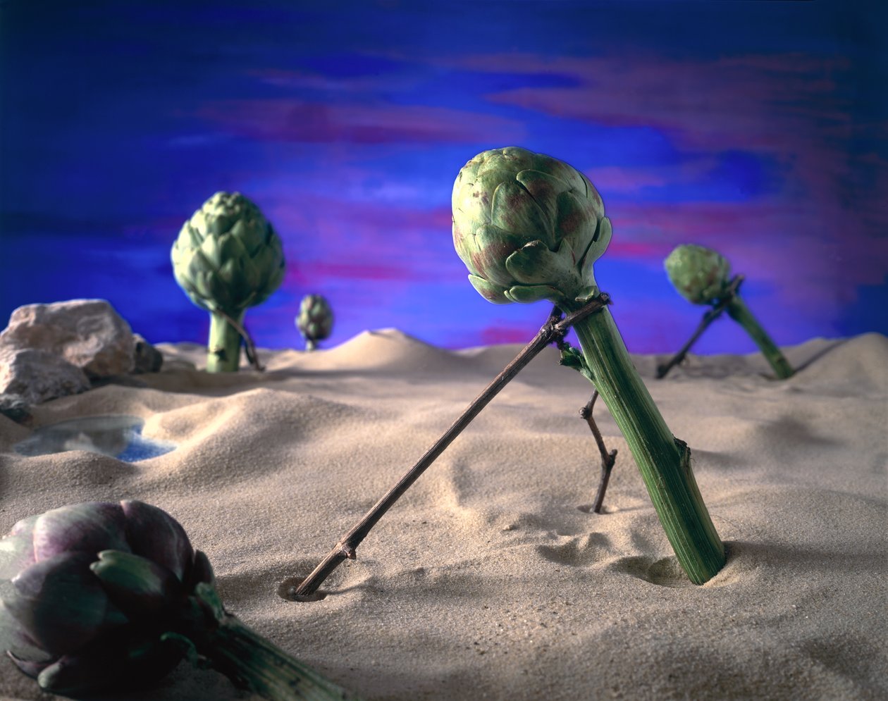 Art-ichoke (Dalí) 1996 (foto) de Unbekannter Künstler