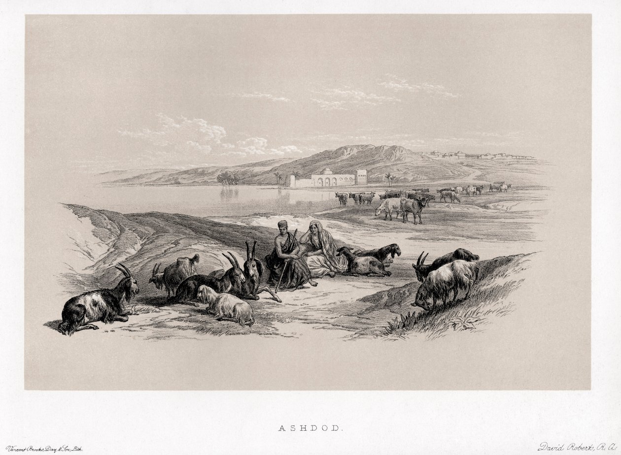 Ashdod Por David de Unbekannter Künstler