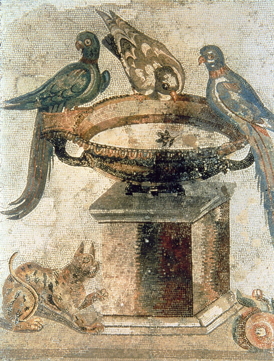 Pájaros y un gato emboscado, de Pompeya de Unbekannter Künstler