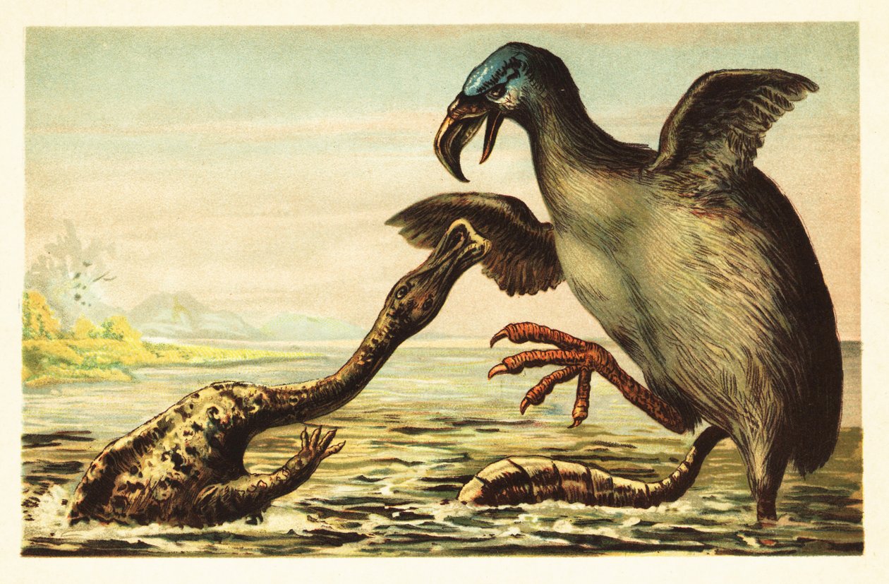 Brontornis luchando contra un Hadrosaurus. 1908 (litografía) de Unbekannter Künstler