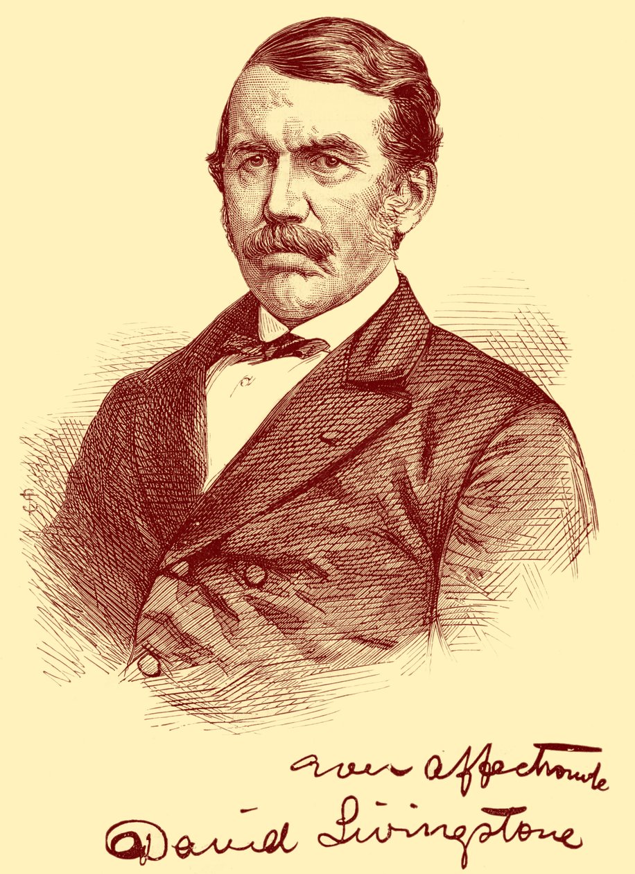 David Livingstone de Unbekannter Künstler