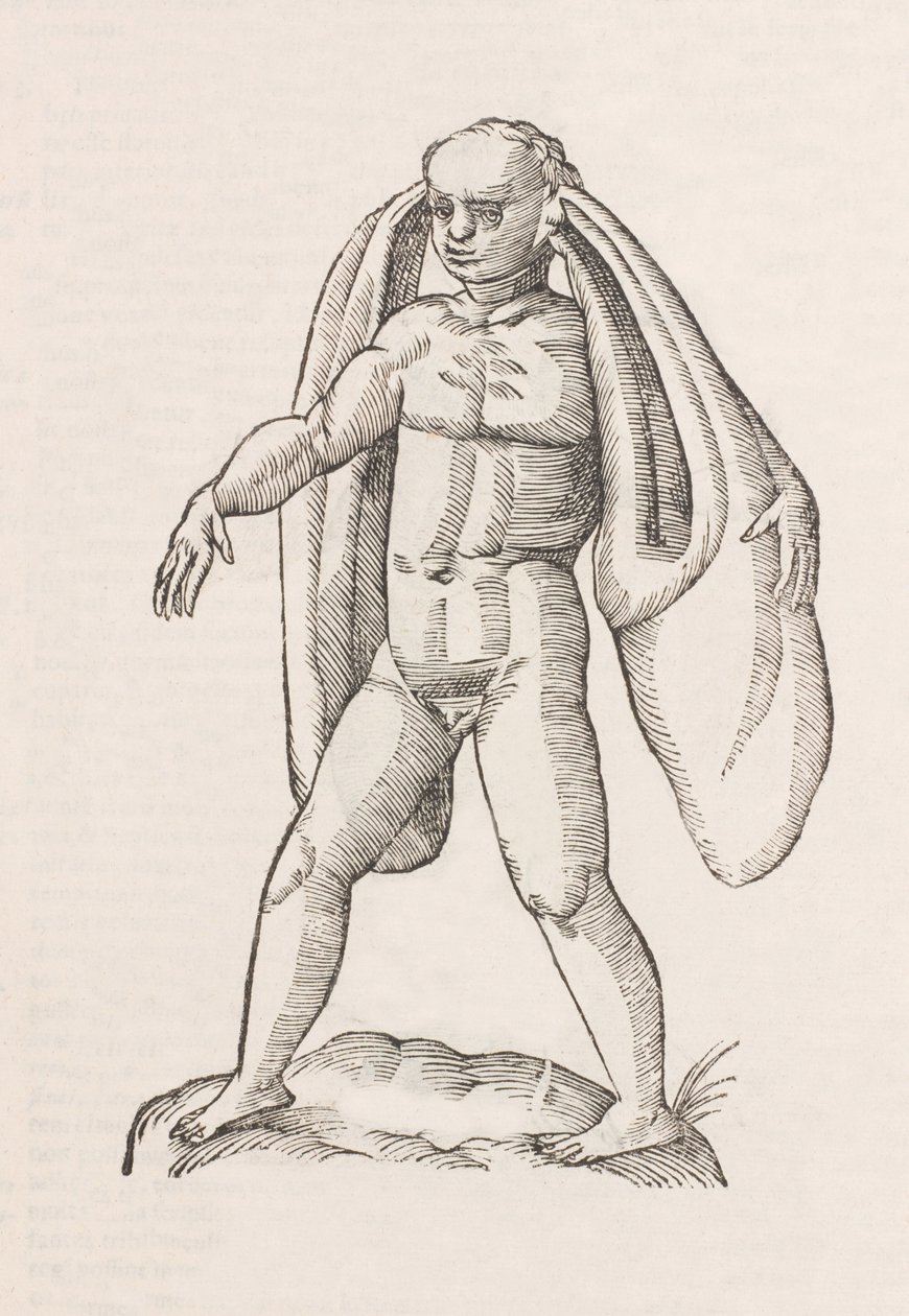 Homo fanesius auritus de Unbekannt