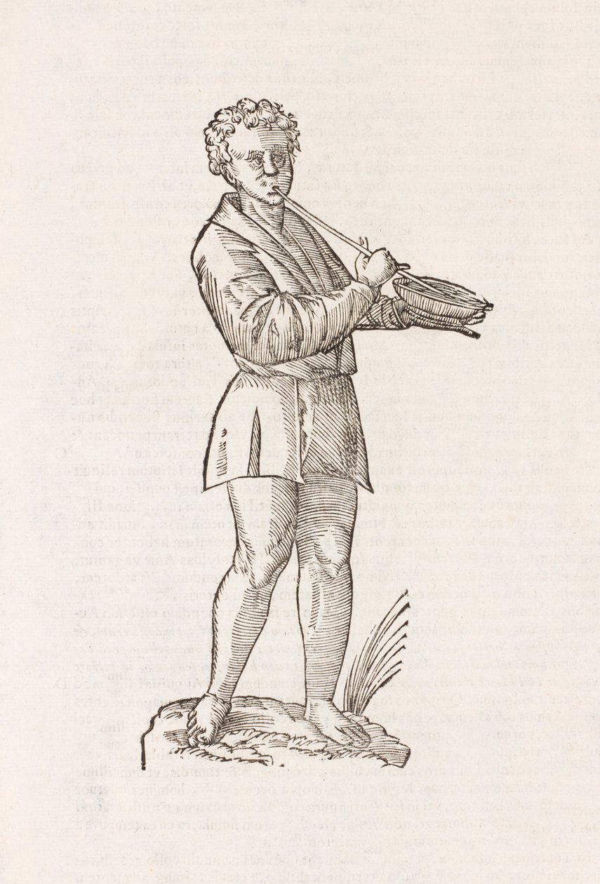 Ilustración de un hombre de Unbekannt