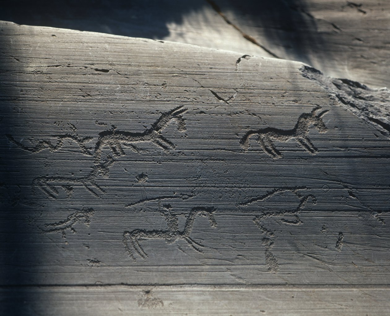 Italia, Lombardía, valle de Camonica, petroglifos en roca de Benjamin Baud