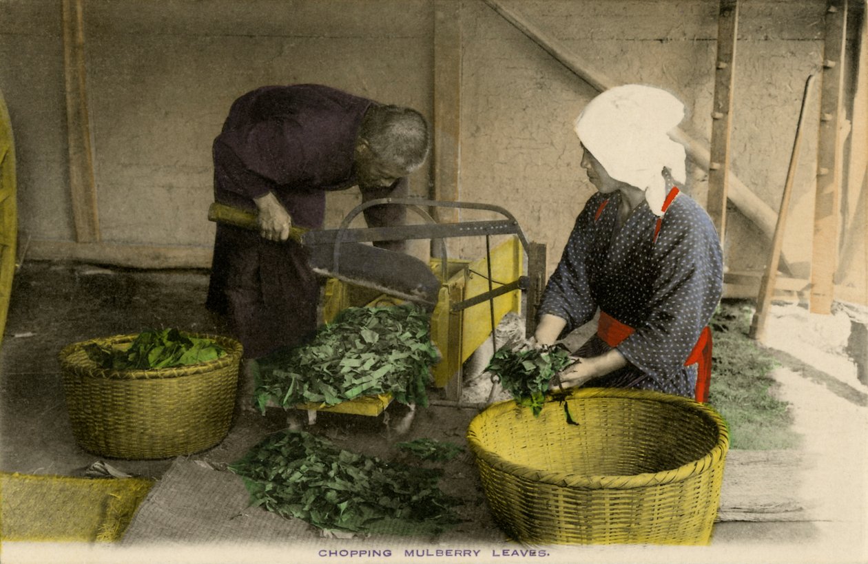Trabajadores japoneses cortando hojas de morera de Unbekannter Künstler