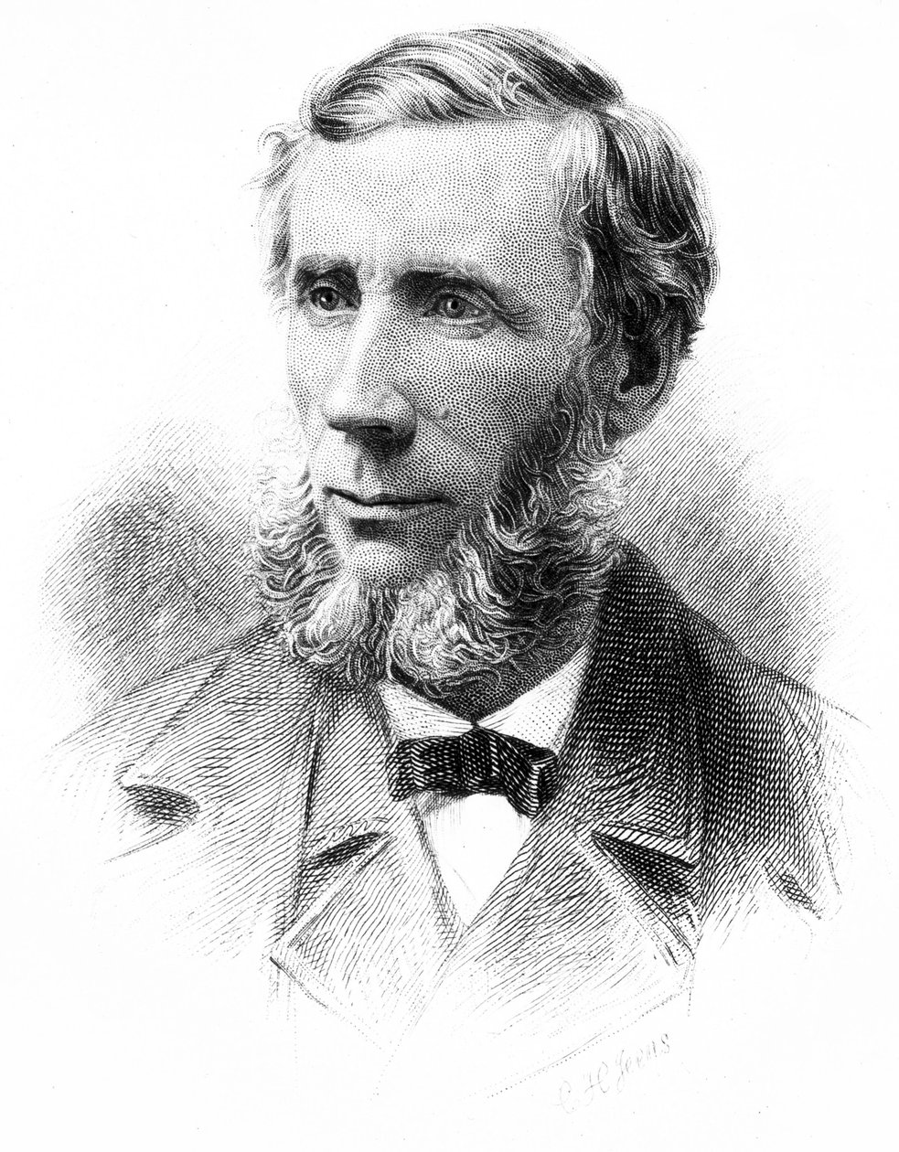John Tyndall, físico británico, c 1880s de Unbekannt