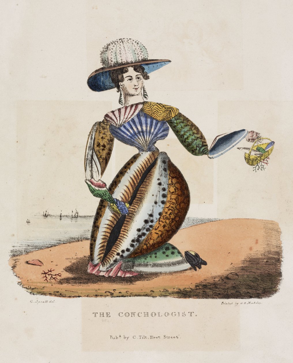 El conquiologiste, hacia 1831 de Unbekannt