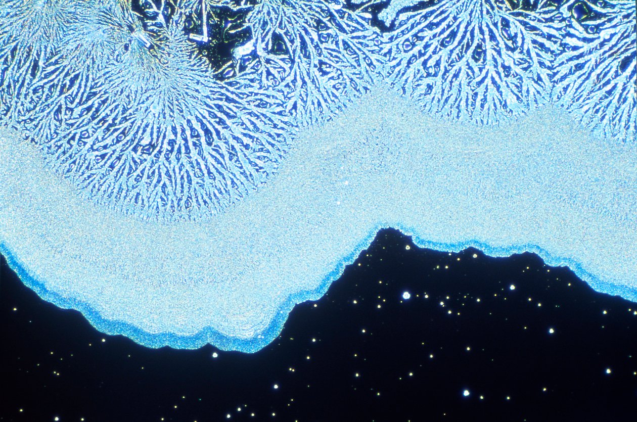 Micrografías (Luz) Sílice coloidal, micrografía de luz de Unbekannt