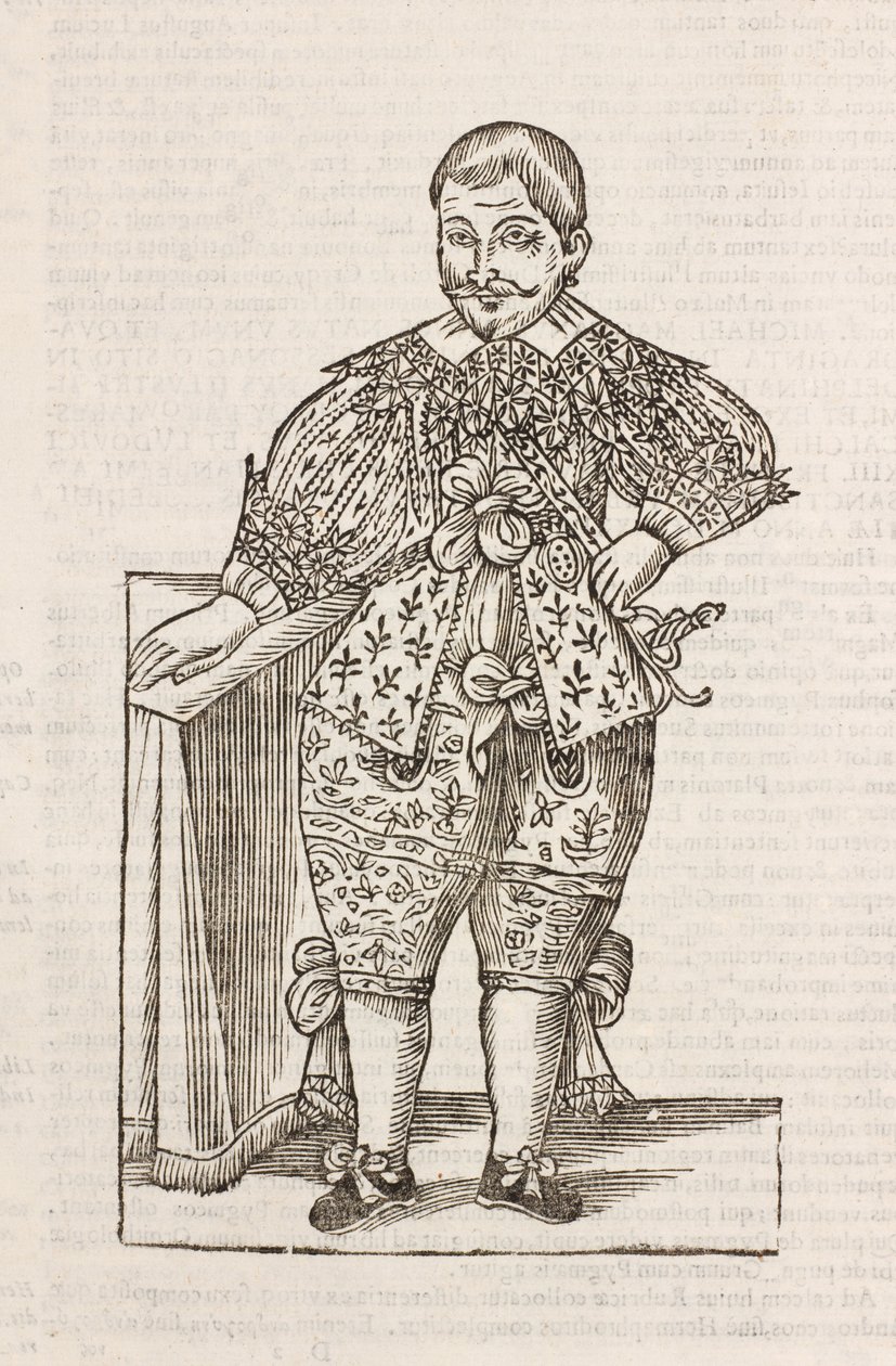 Nanus Illustrissimi D de Unbekannt