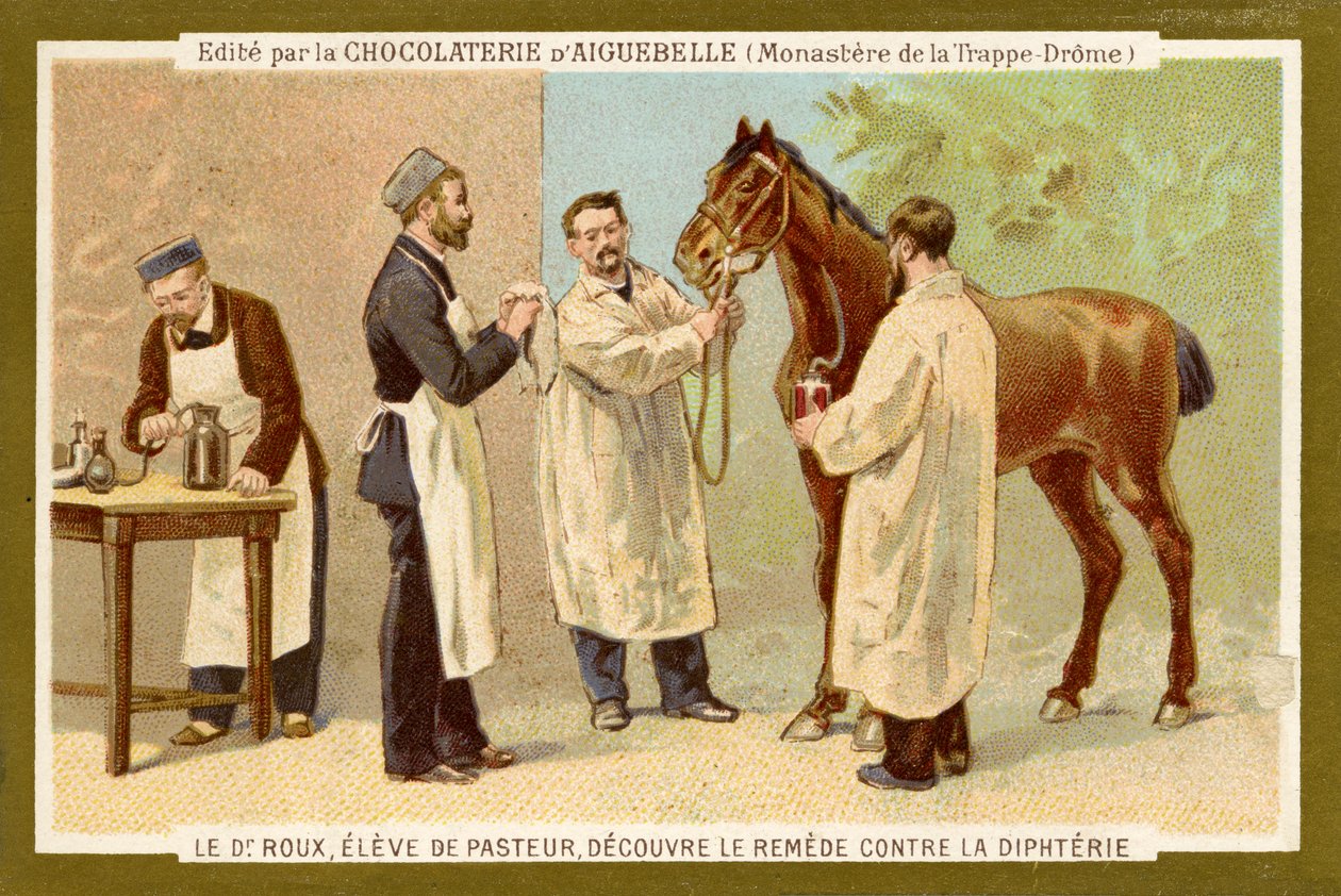Pierre Paul Émile Roux de Unbekannter Künstler