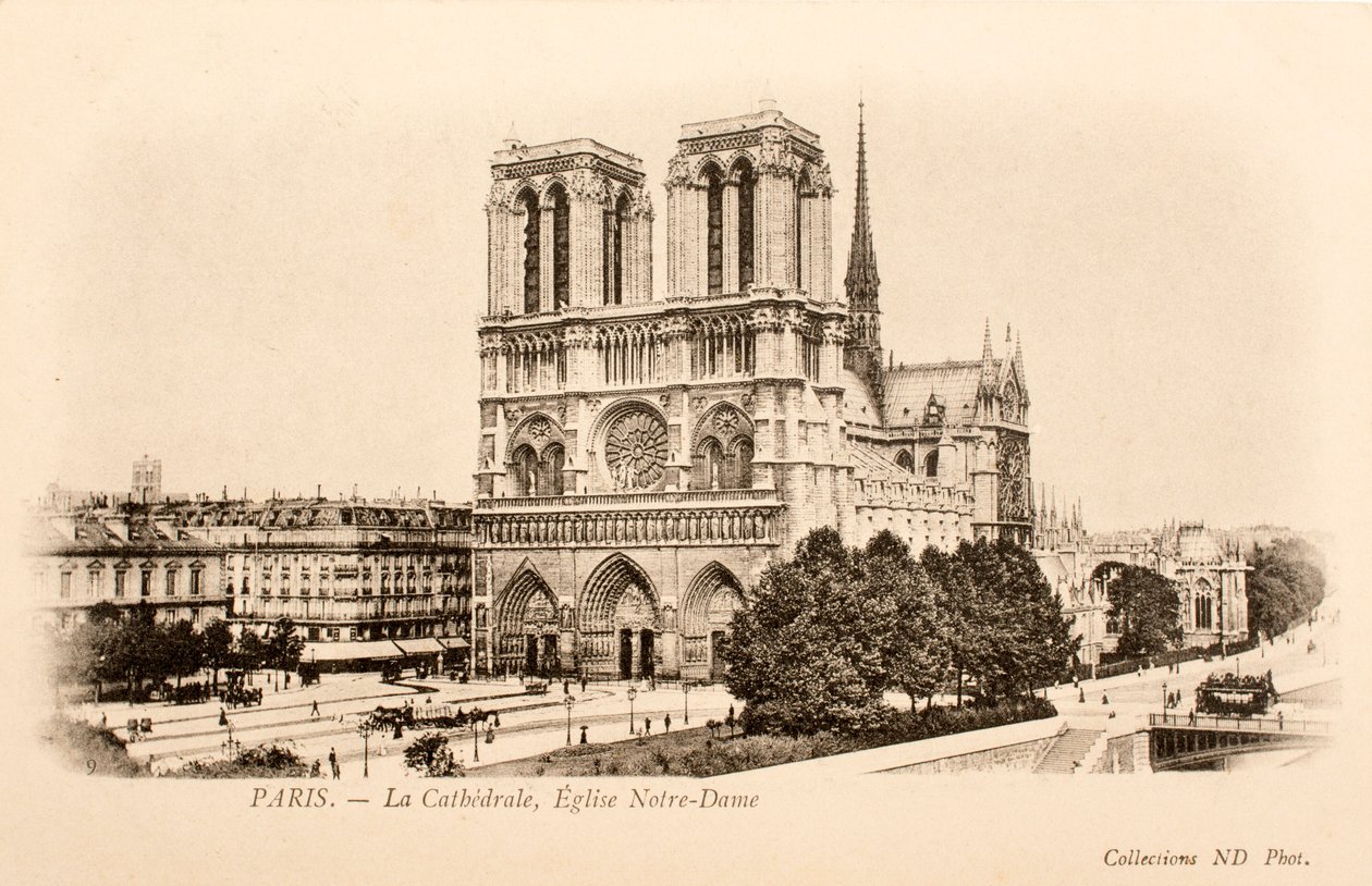 Notre Dame, París, Sena, Isla de Francia, Francia de William M. Timlin