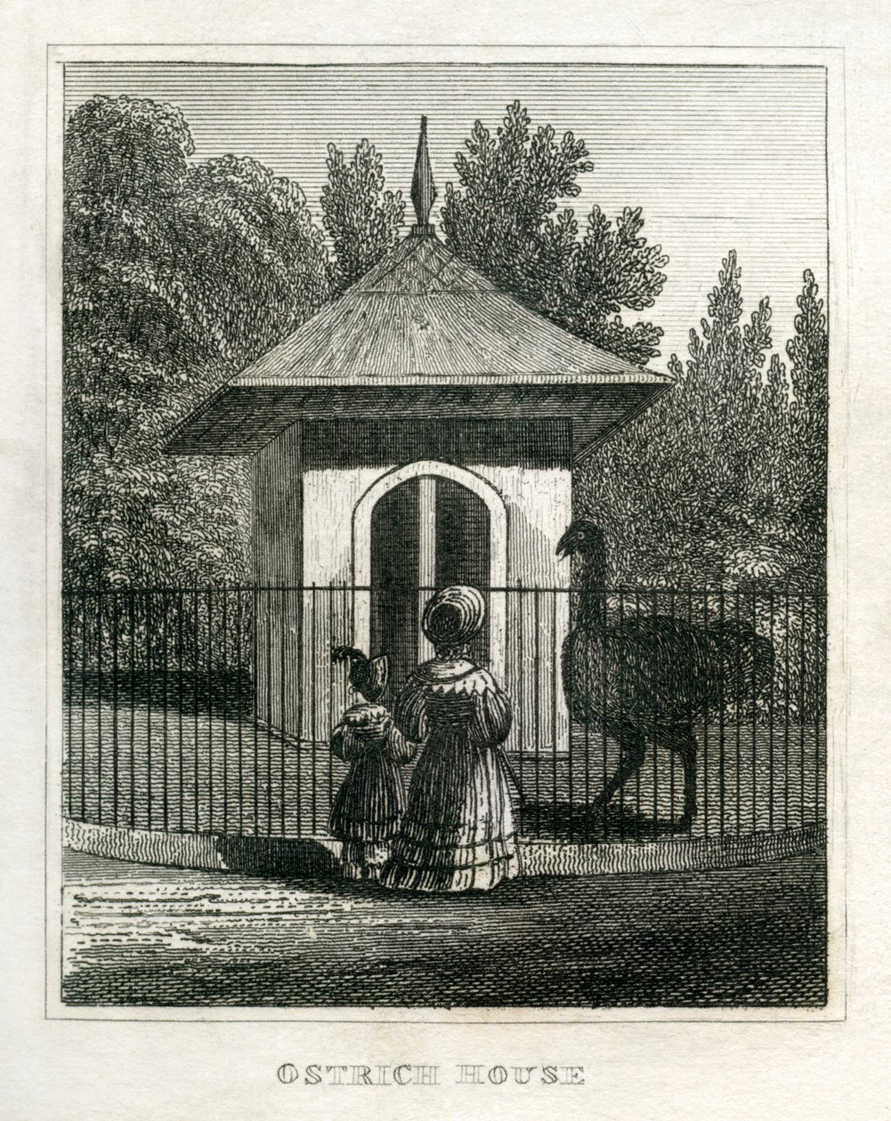 Zoológico de Regent
