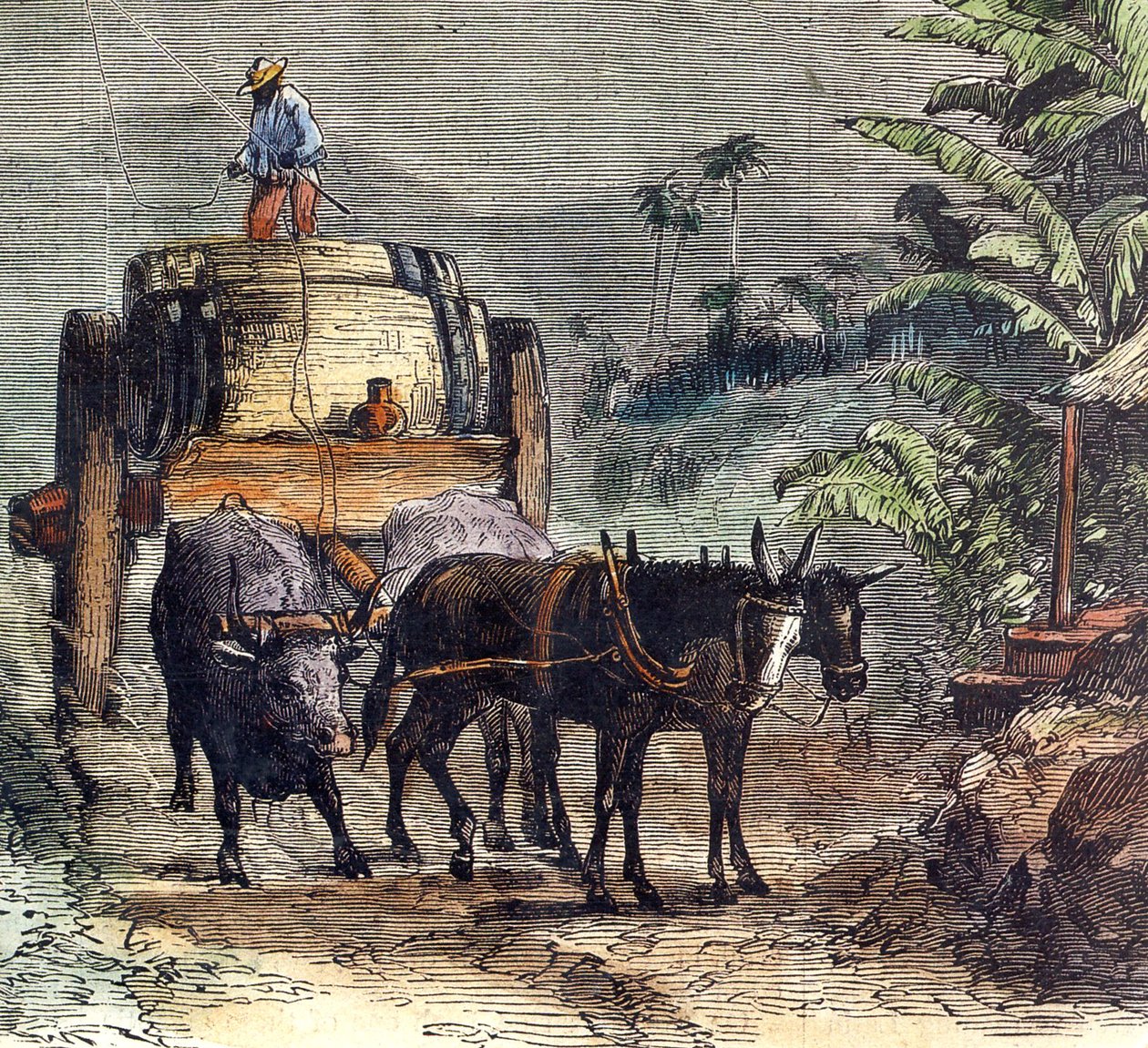 Transporte de ron de Unbekannter Künstler