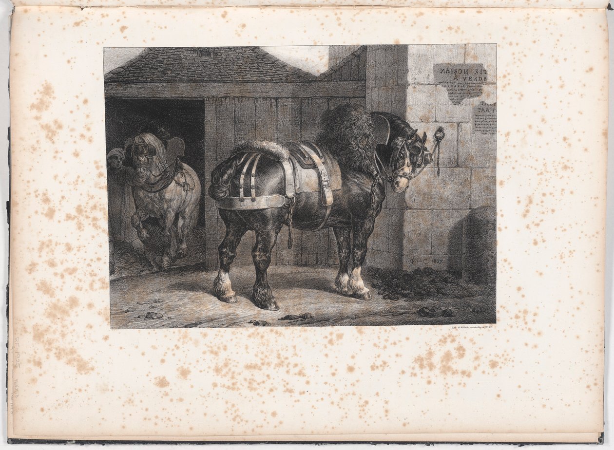 Caballo negro de pie fuera de un establo de Unknown