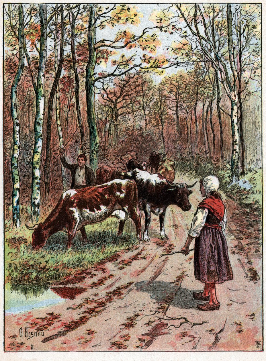Troupeau de vaches de Unknown