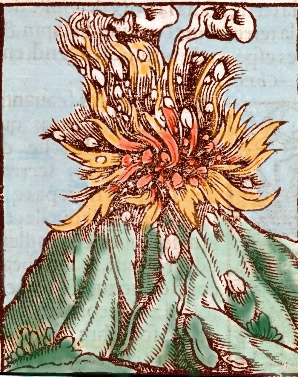 Erupción de un volcán. Grabado del siglo XVI de Unknown artist