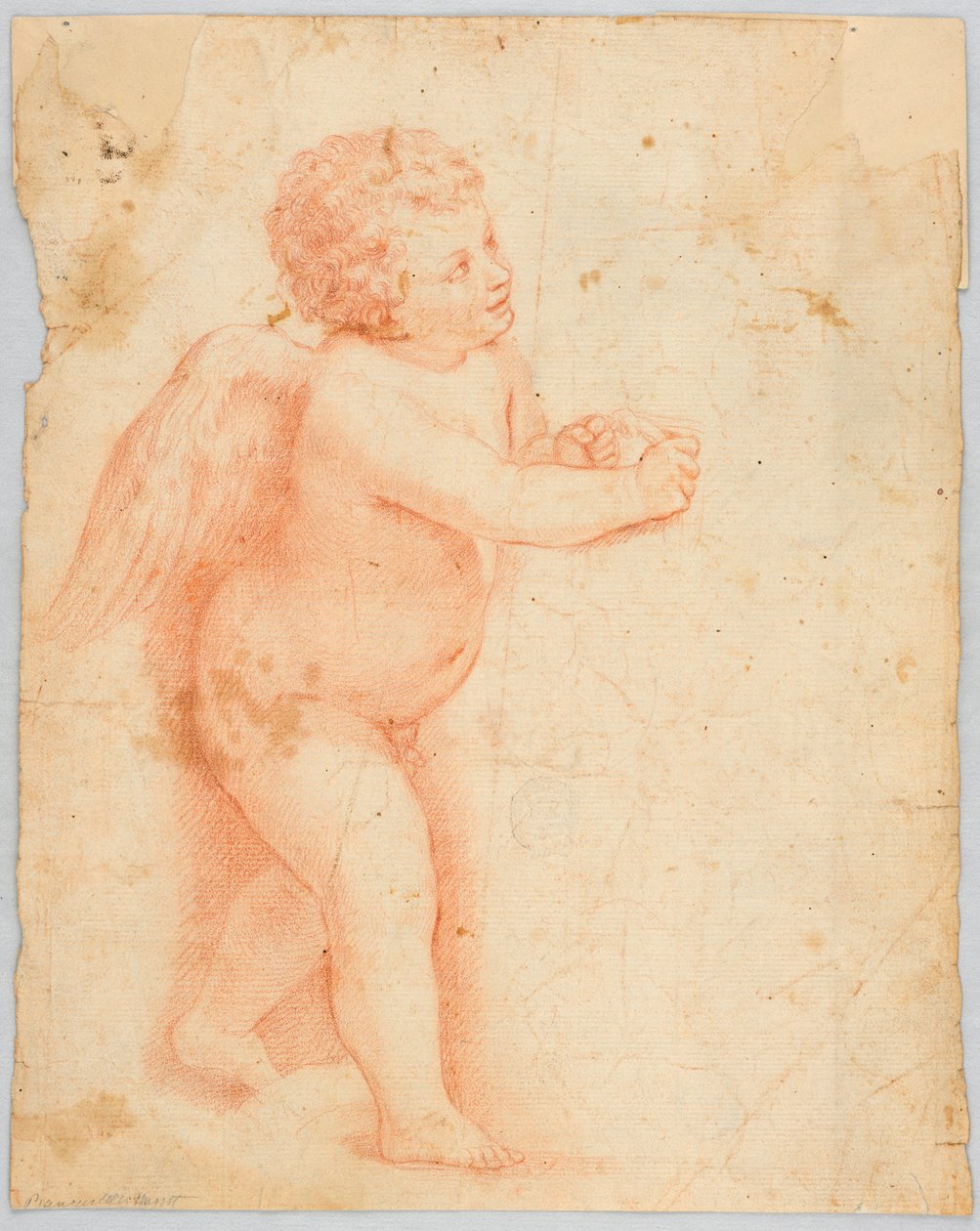 Putto haciendo un nudo de Unknown artist