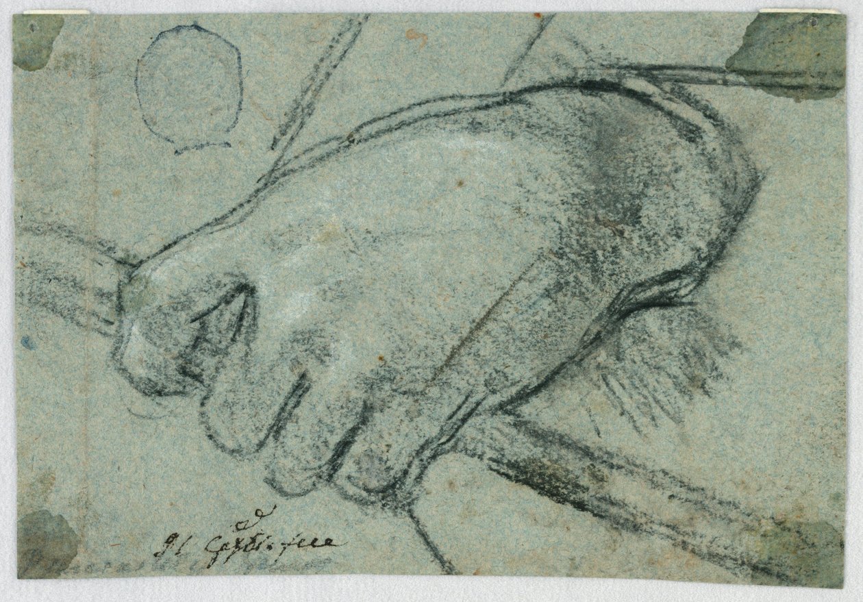 Estudio: Una mano izquierda llevando un palo de Unknown artist
