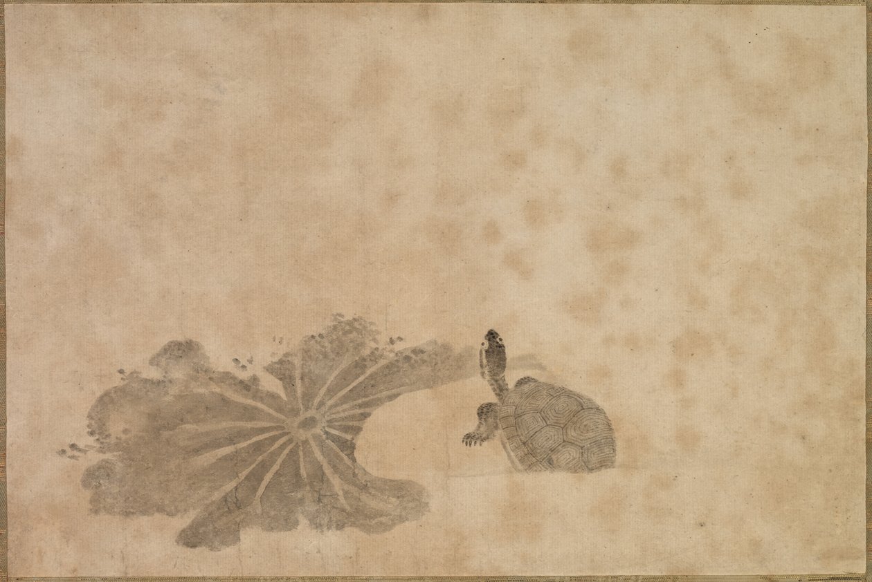 Turtle in a Lotus Pond de Unknown artist