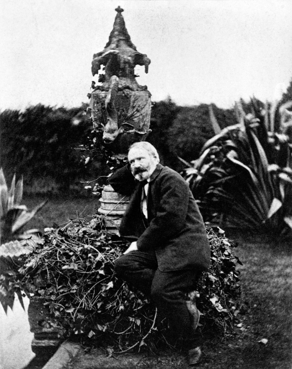 Retrato de Victor Hugo de Unknown photographer