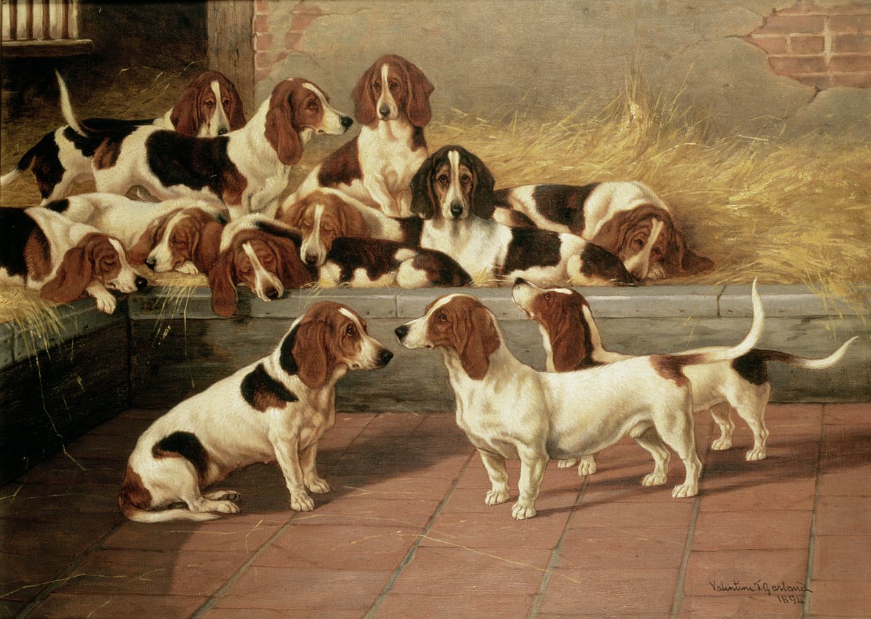 Basset Hounds en un kennel, 1894 de Valentine Thomas Garland