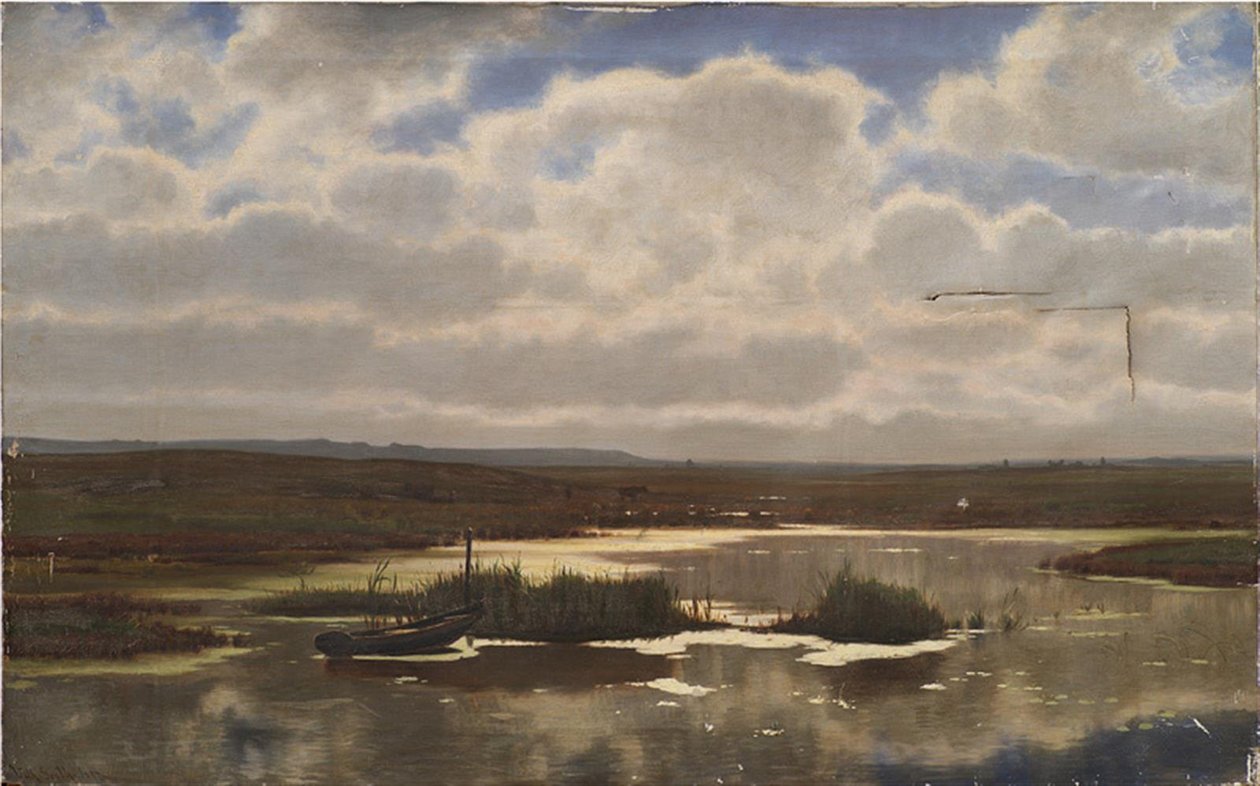 Páramo con un pantano de Vilhelm Groth