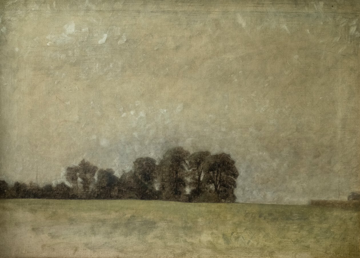 Paisaje, 1909 de Vilhelm Hammershoi