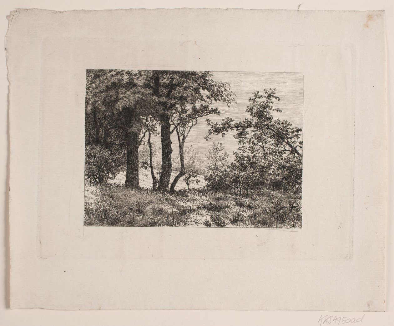 Robles en el borde de un bosque de Vilhelm Kyhn