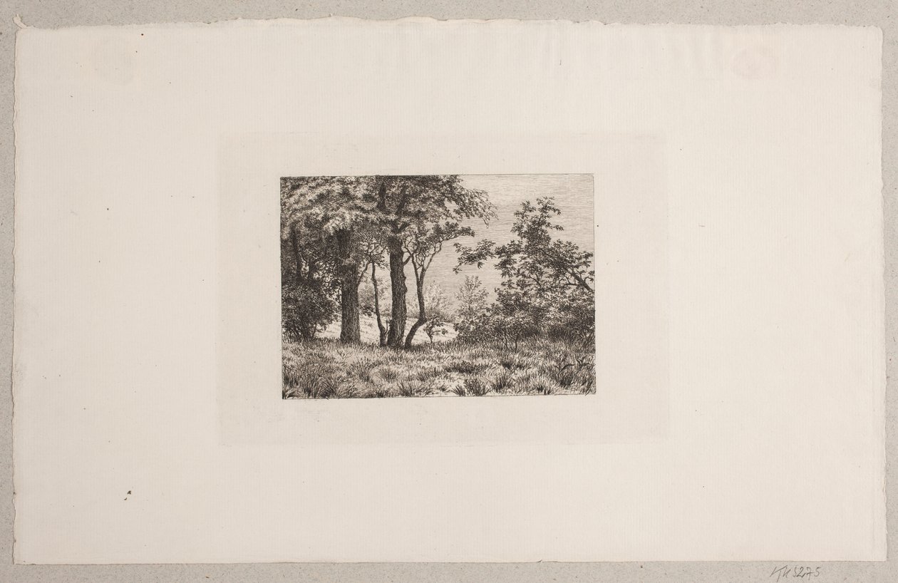 Robles en el Borde de un Bosque de Vilhelm Kyhn