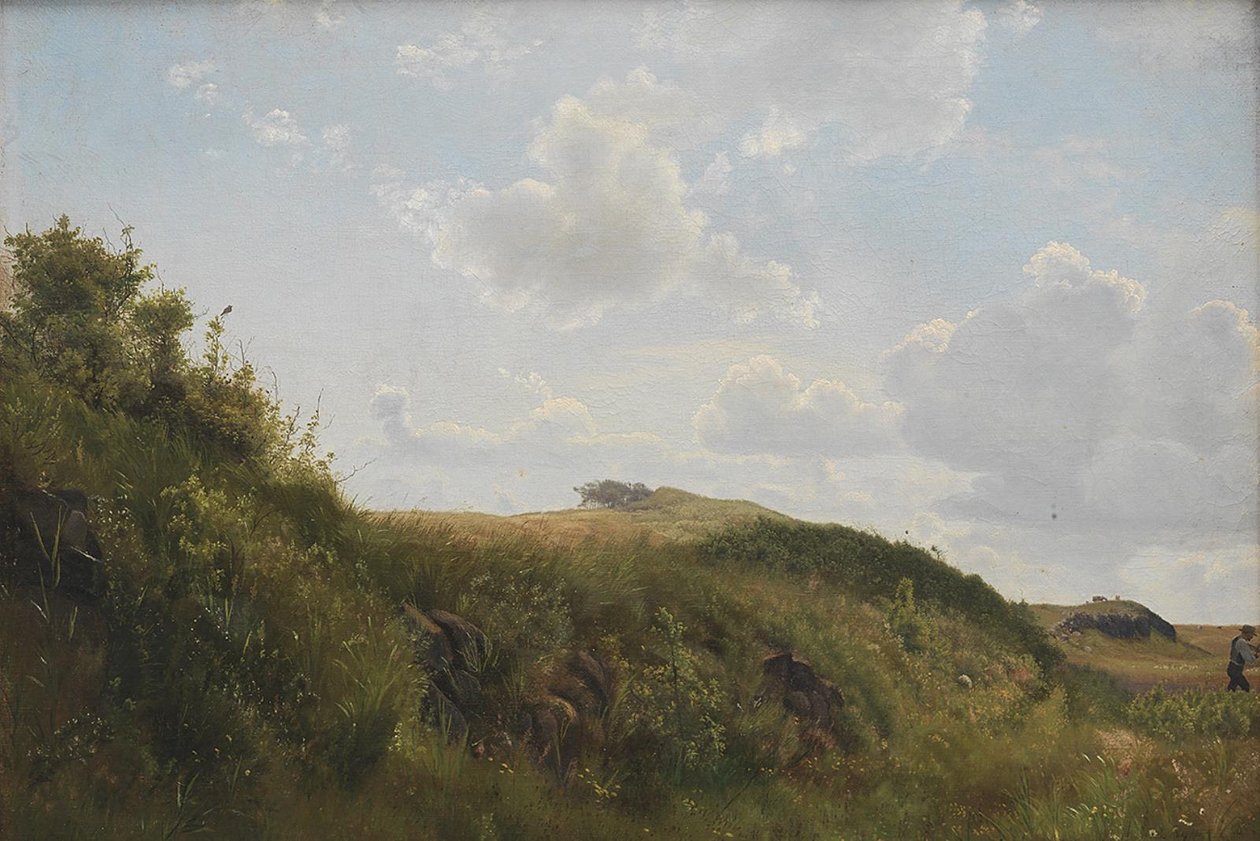 Día de junio en Rørvig de Vilhelm Kyhn
