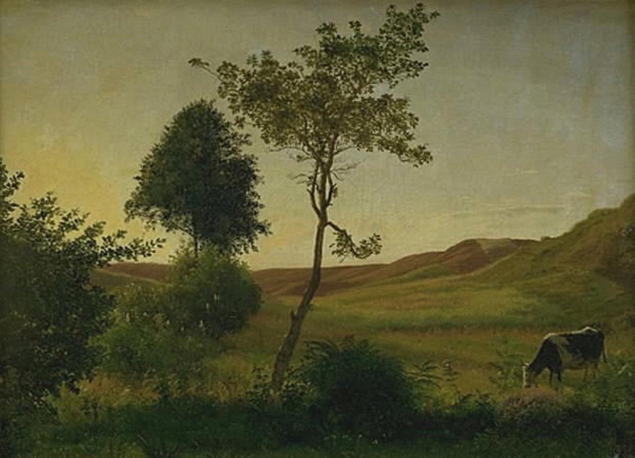 Paisaje en Hald hacia la tarde de Vilhelm Kyhn
