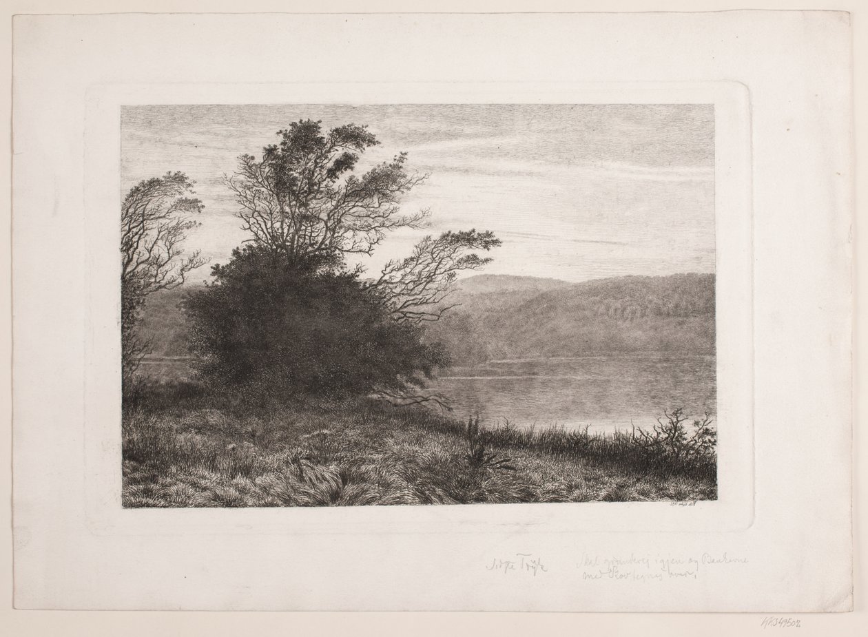 Rye sø de Vilhelm Kyhn