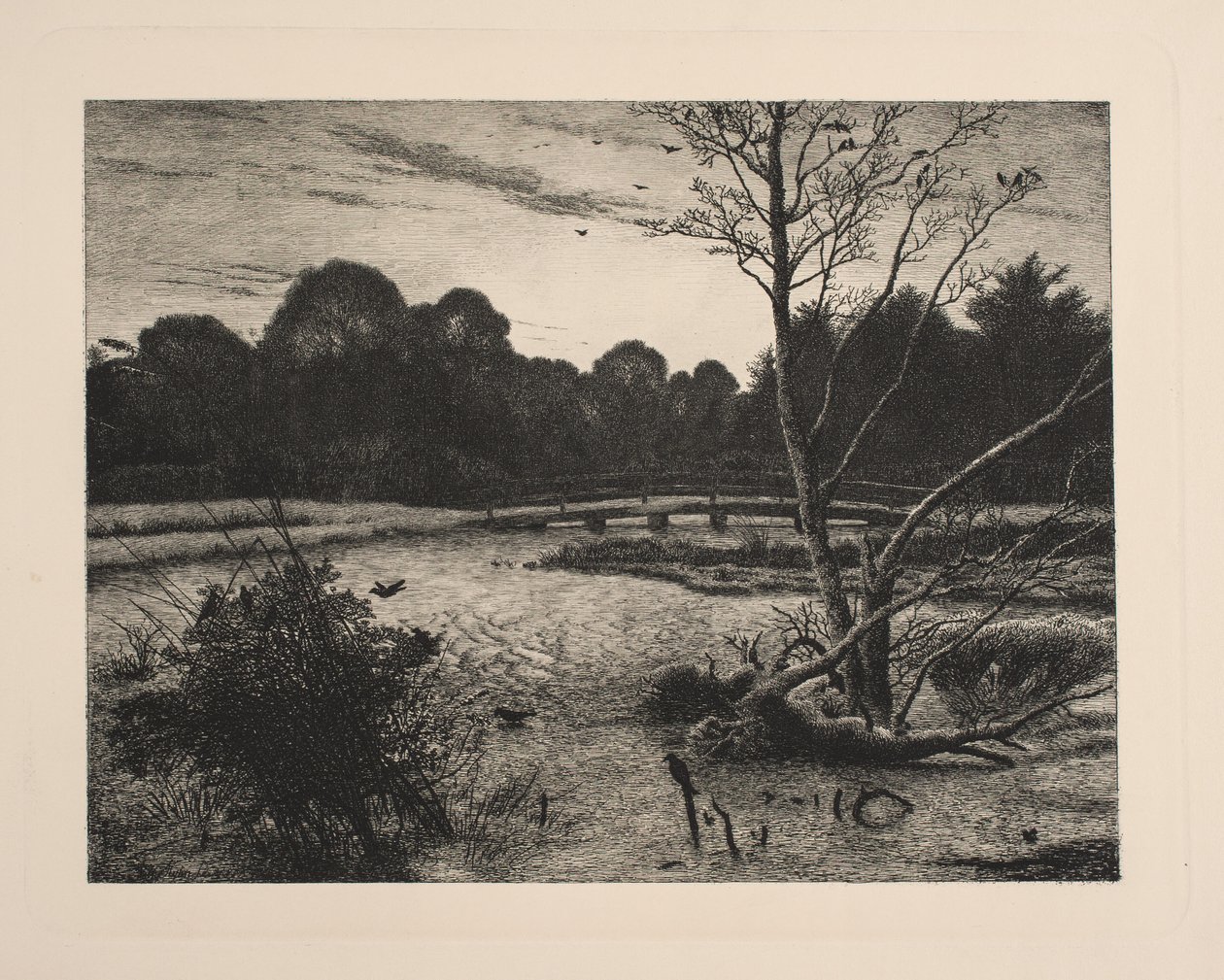 Puesta de sol en un bosque de Vilhelm Kyhn