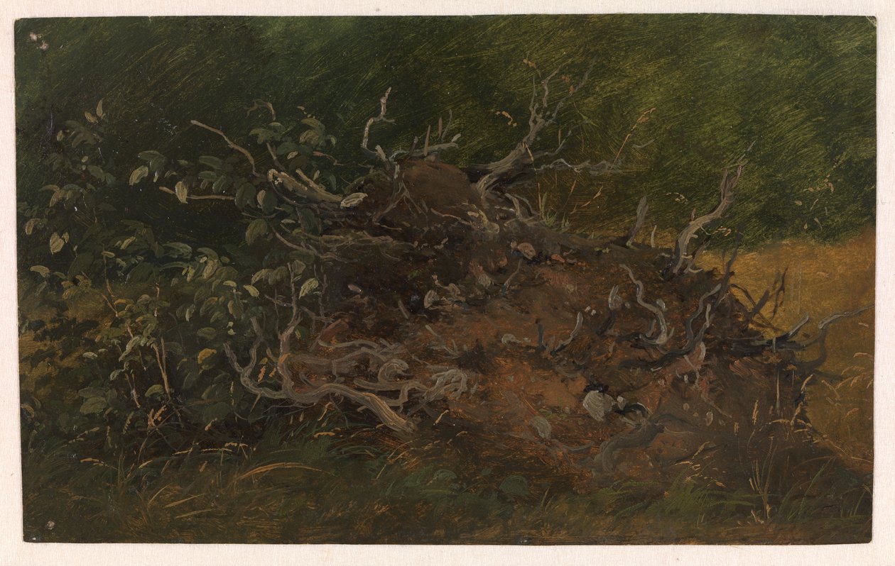 Estudio de un tocón de árbol de Vilhelm Petersen