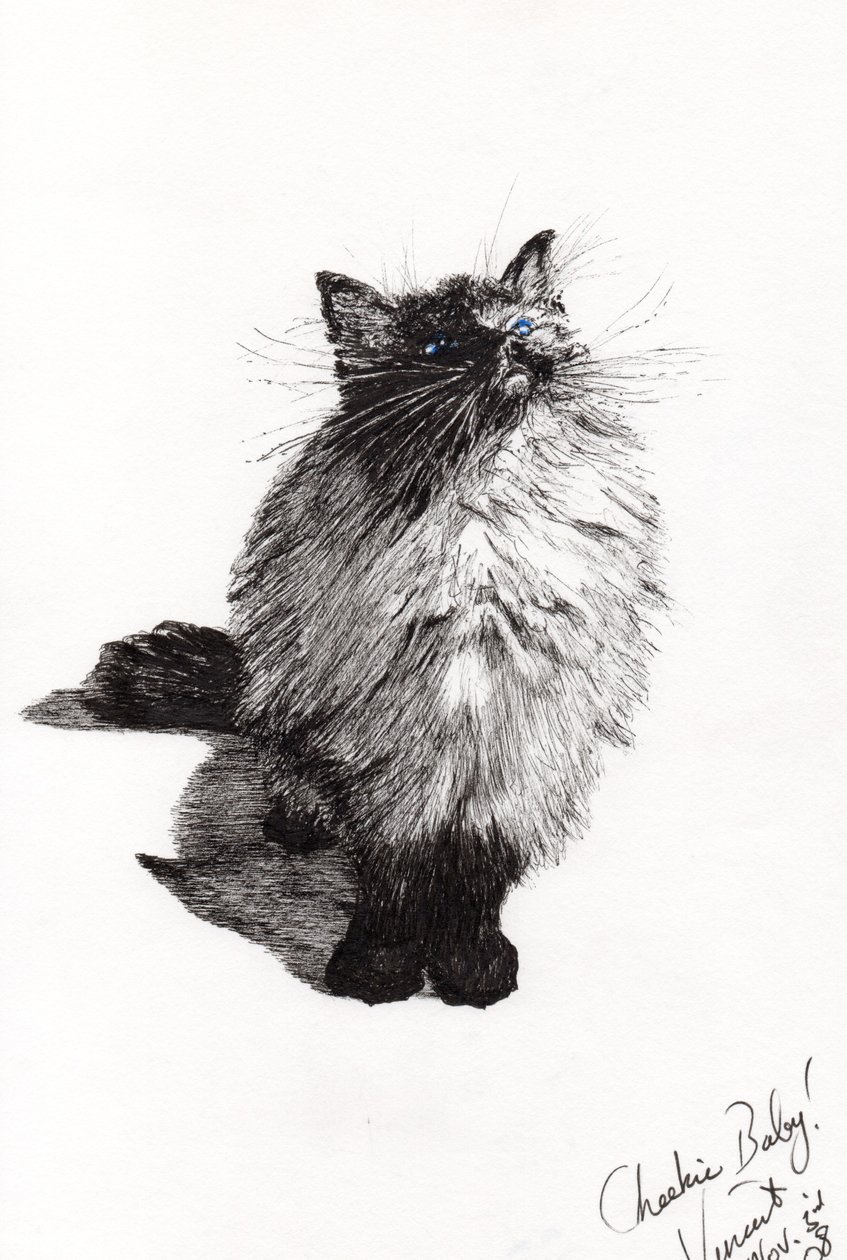 Bebé travieso, 2008 de Vincent Alexander Booth