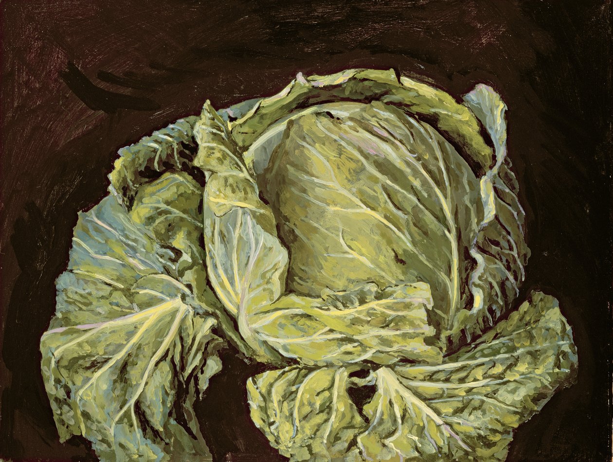Bodegón de col, 2000 de Vincent Yorke