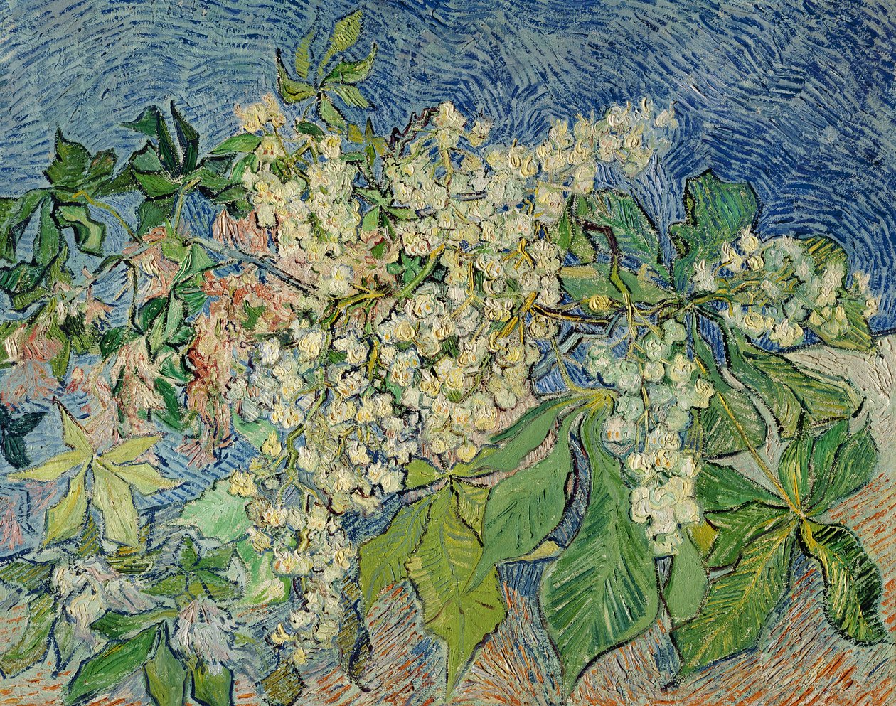 Rama de castaño en flor, 1890 de Vincent van Gogh