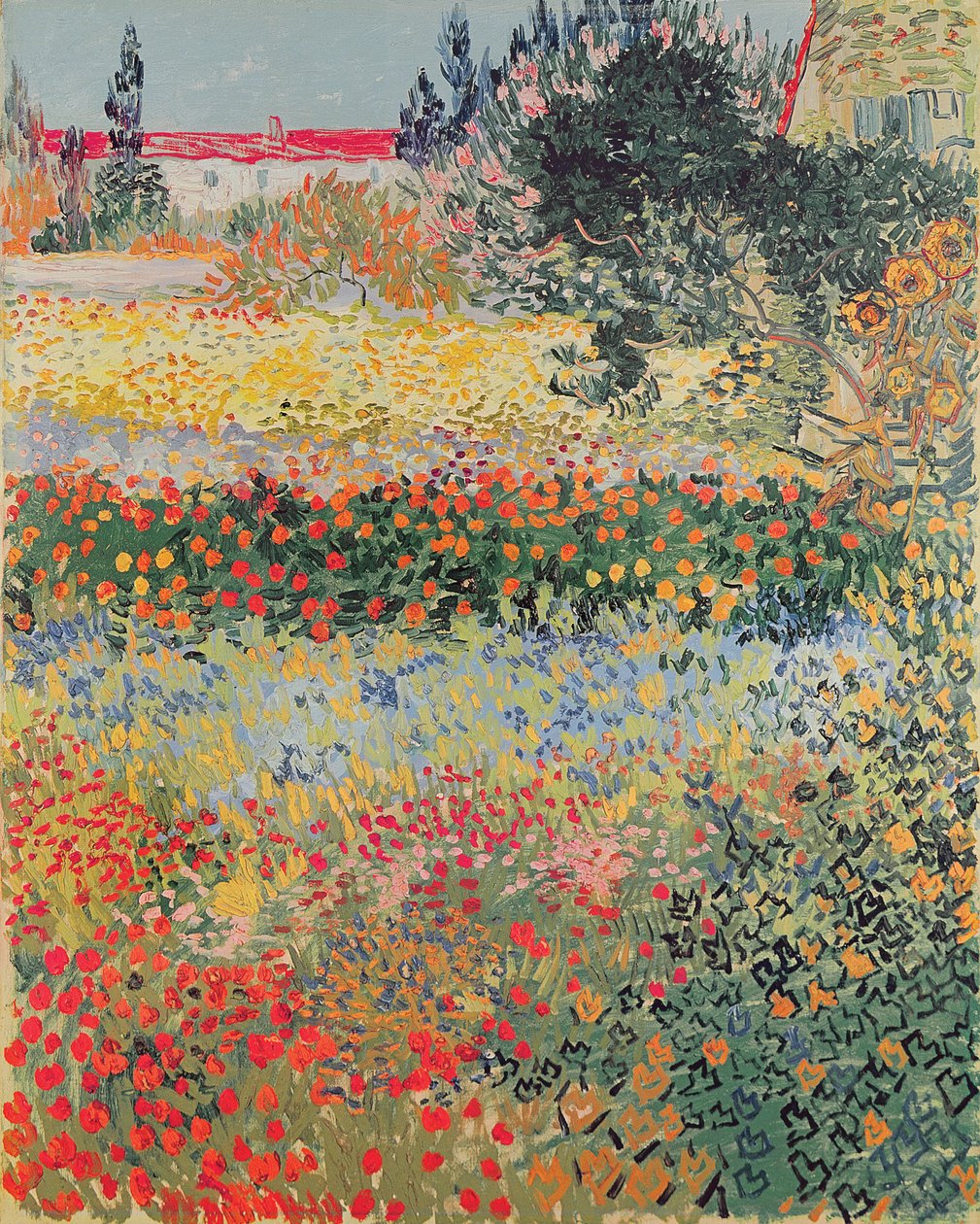Jardín en flor, Arles, julio de 1888 de Vincent van Gogh