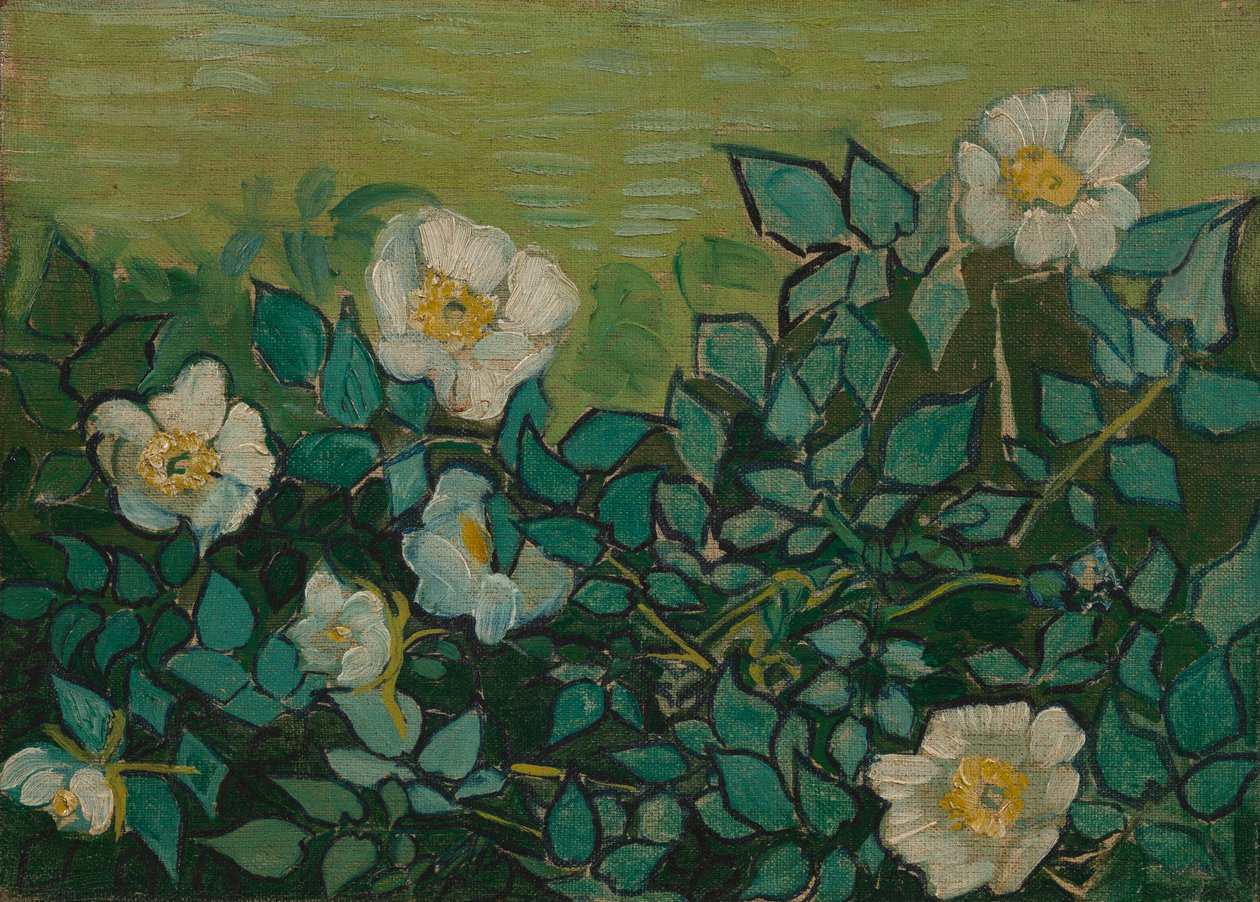 Rosas silvestres de Vincent van Gogh