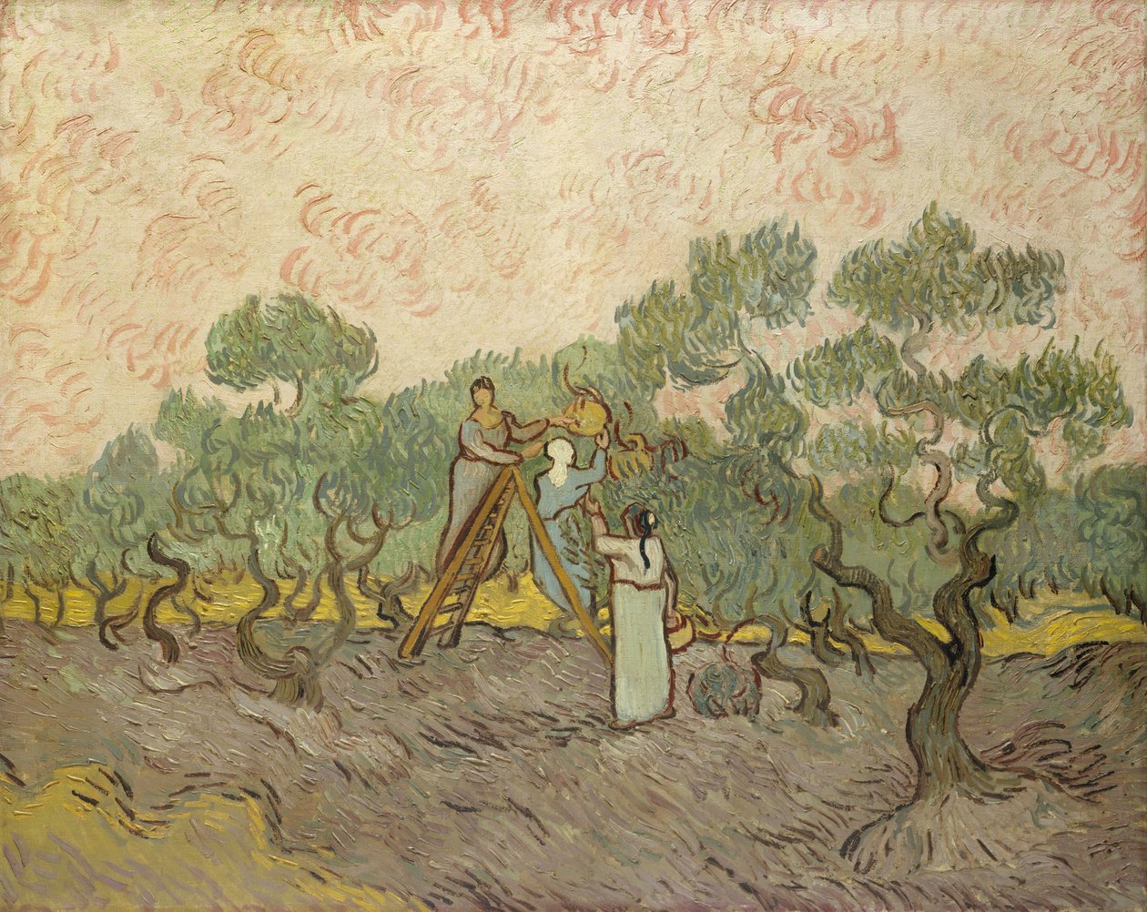 Mujeres recogiendo aceitunas de Vincent van Gogh