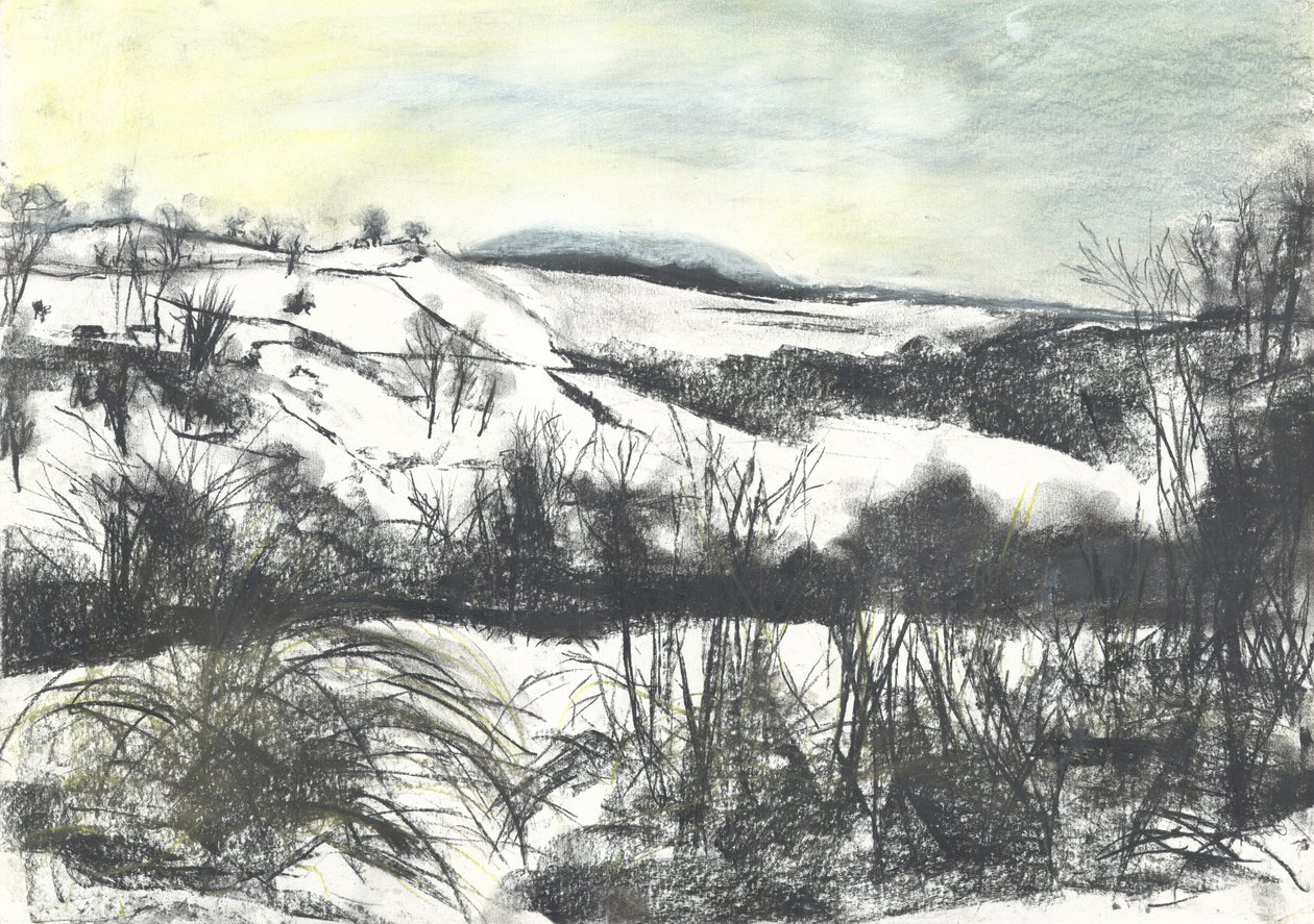 Paisaje de Osmotherley en nieve de invierno de Vincent Alexander Booth