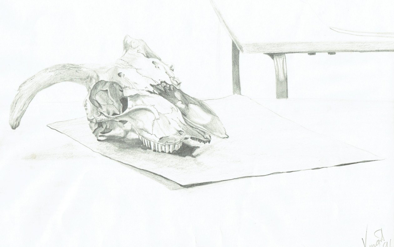 Calavera de Vincent Alexander Booth