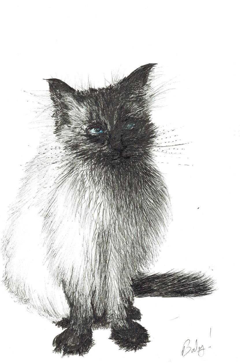 Bebé joven, 2004 de Vincent Alexander Booth
