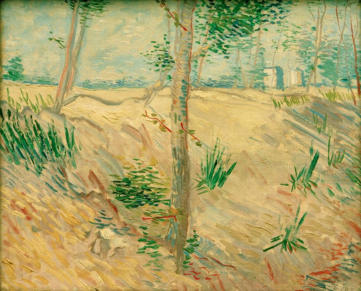 Troncos de árboles a la luz del sol de Vincent van Gogh