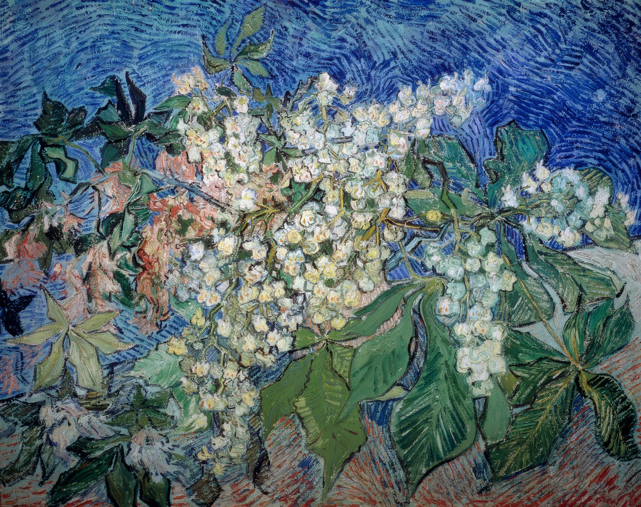 Ramas de castaño en flor de Vincent van Gogh