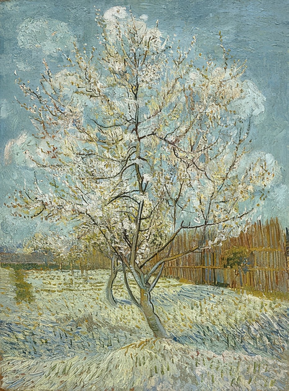 Melocotonero en flor (rosa). Arles, abril-mayo 1888 de Vincent van Gogh