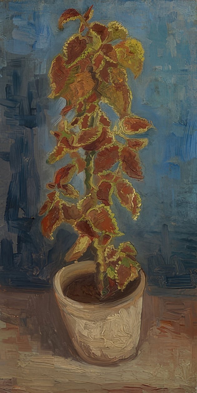 Maceta con cóleos de Vincent van Gogh