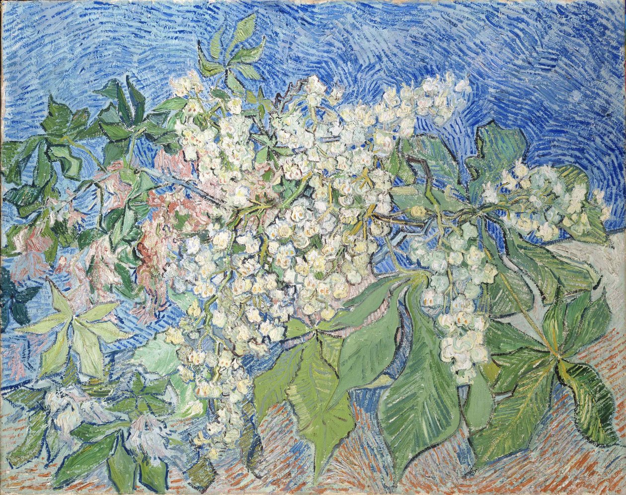 Ramas de castaños en flor, 1890 de Vincent van Gogh